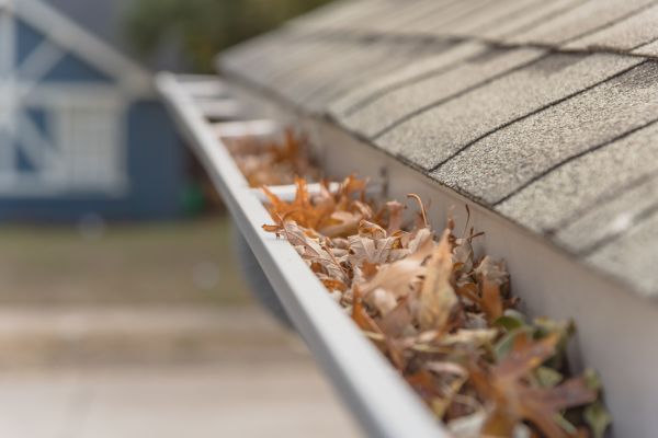 Leaf Barrier Installation in Reston